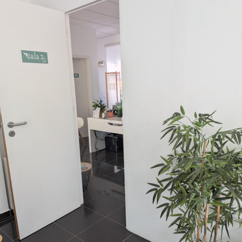 Entrada para uma das salas da PsiEquilibra com planta e vista parcial do gabinete